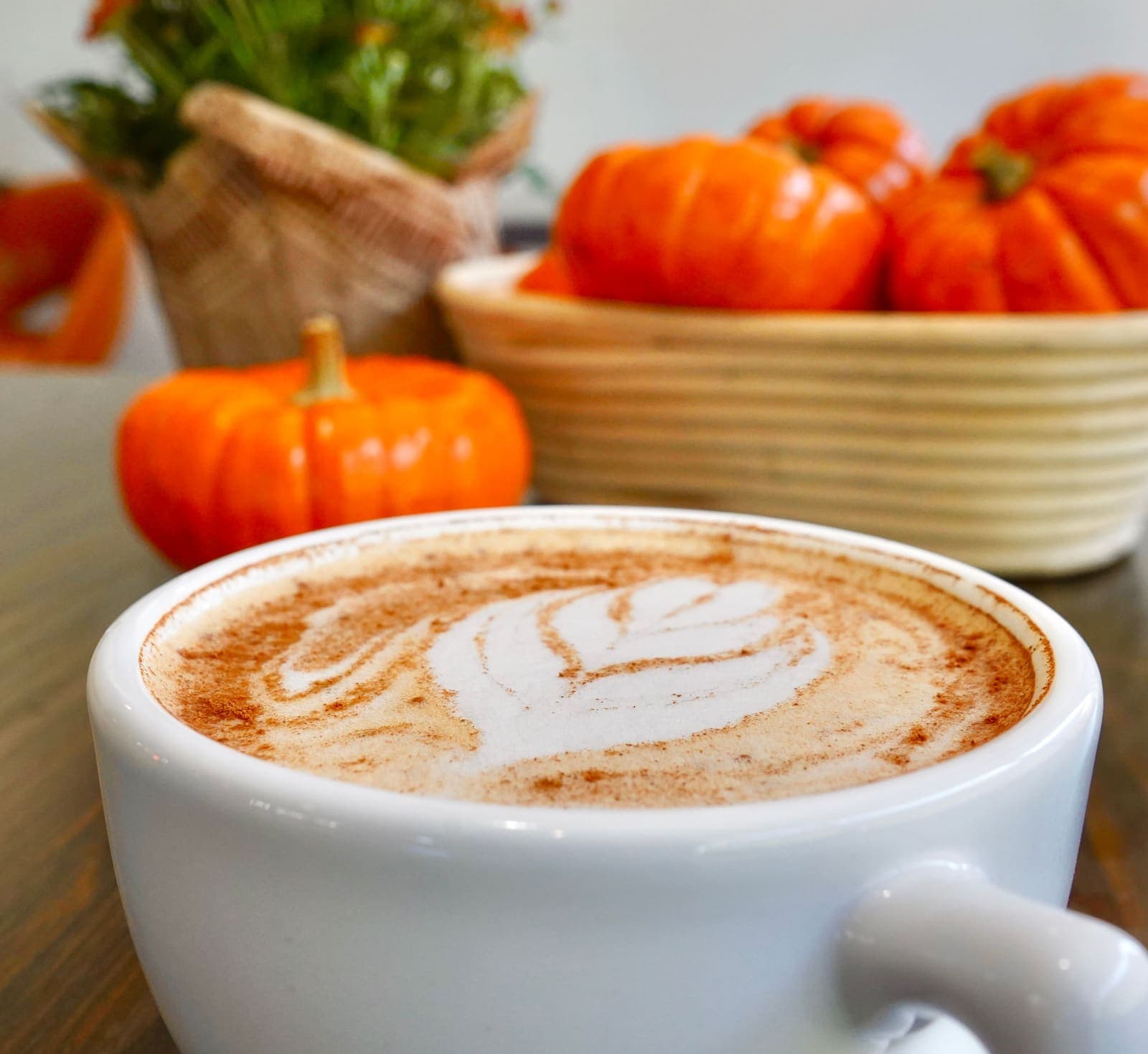 Pumpkin spice latte with latte art and cinnamon in a white cup, with fall pumpkins behind it, at iJava Cafe in Willow Glen, San Jose